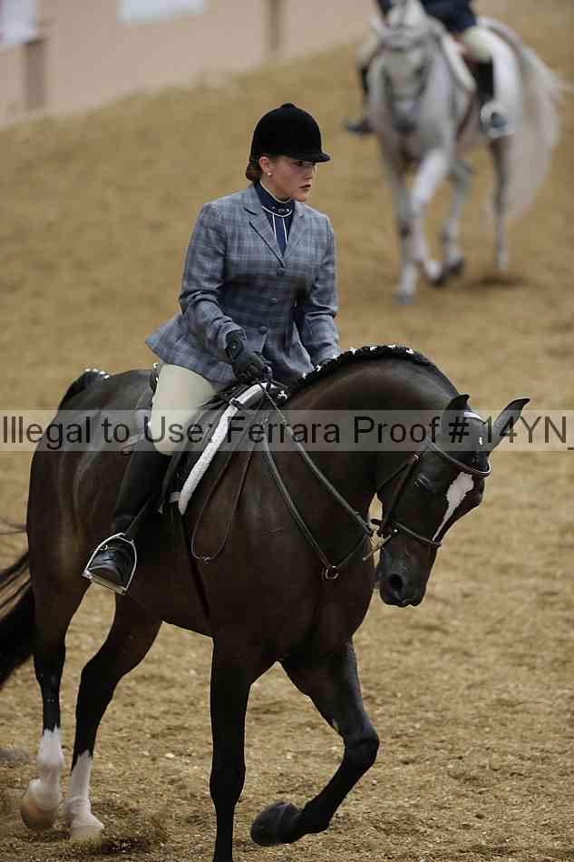 Proof 14yn_04284