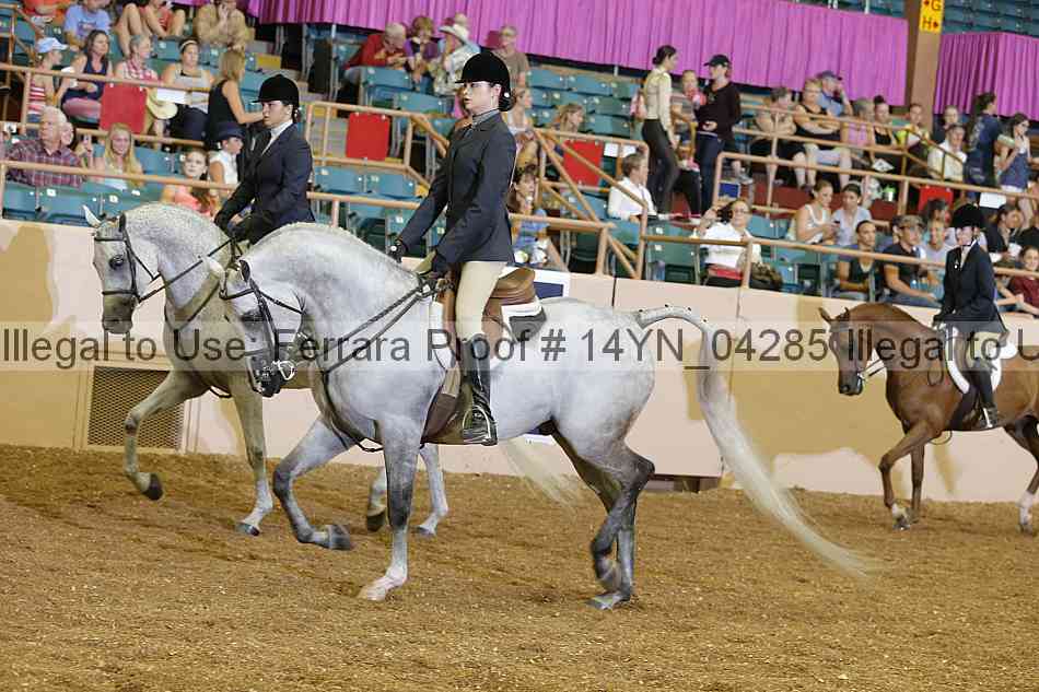 Proof 14yn_04285