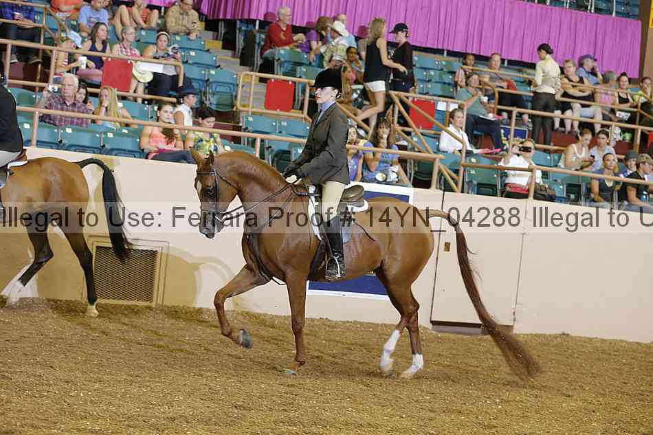 Proof 14yn_04288