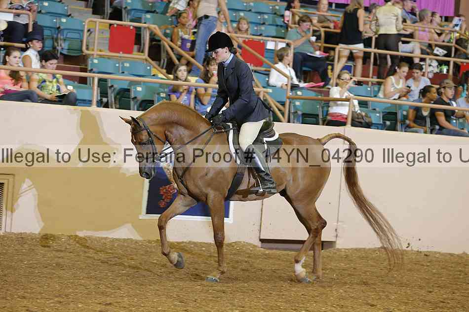 Proof 14yn_04290