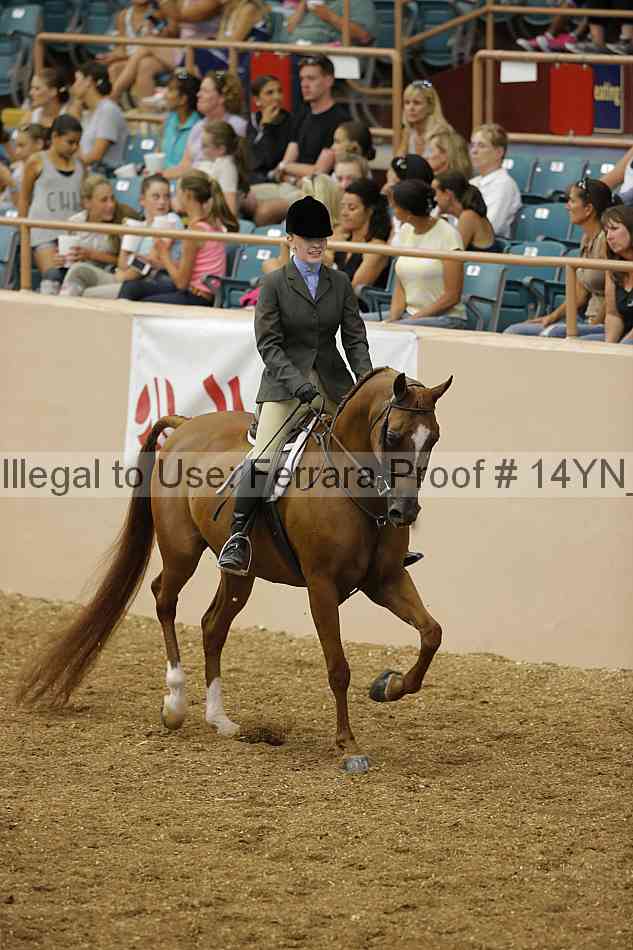 Proof 14yn_04293