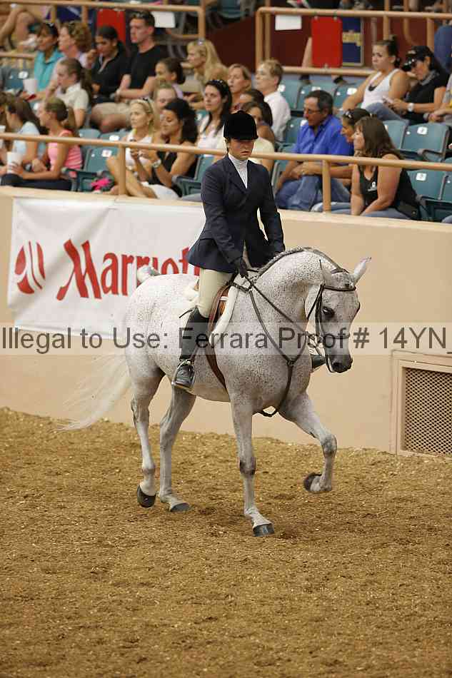 Proof 14yn_04295
