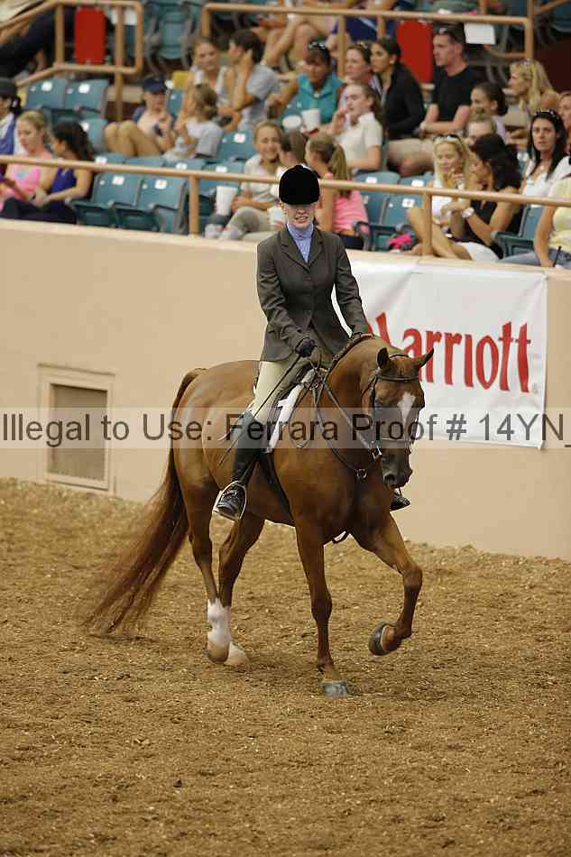 Proof 14yn_04296
