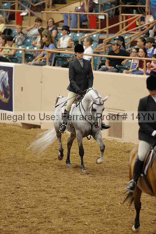 Proof 14yn_04298