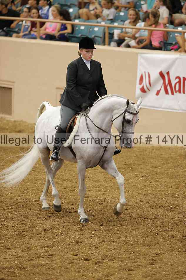 Proof 14yn_04299