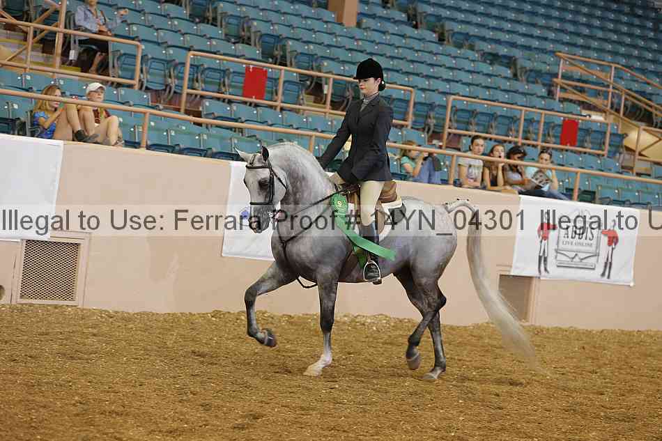 Proof 14yn_04301