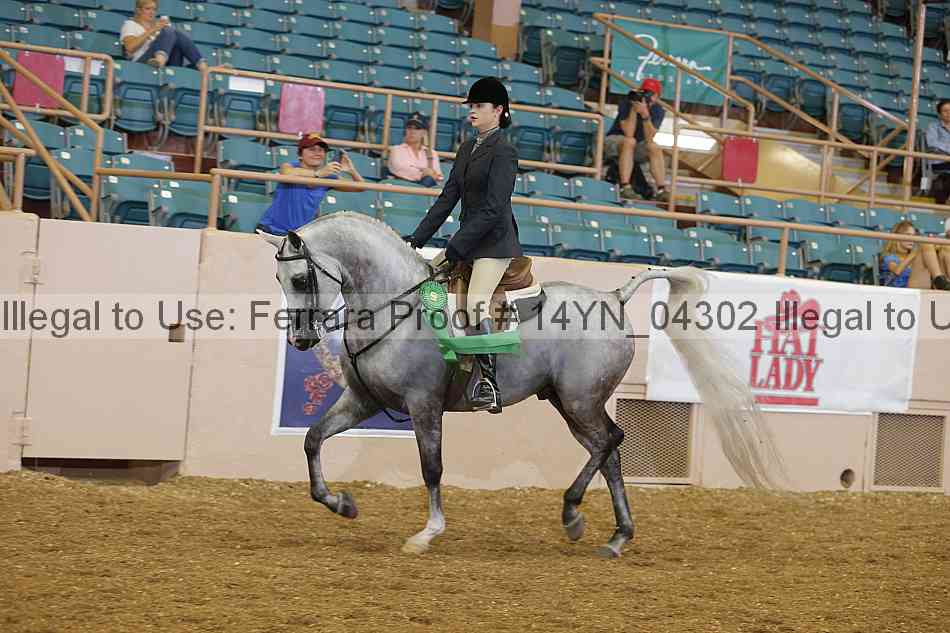 Proof 14yn_04302