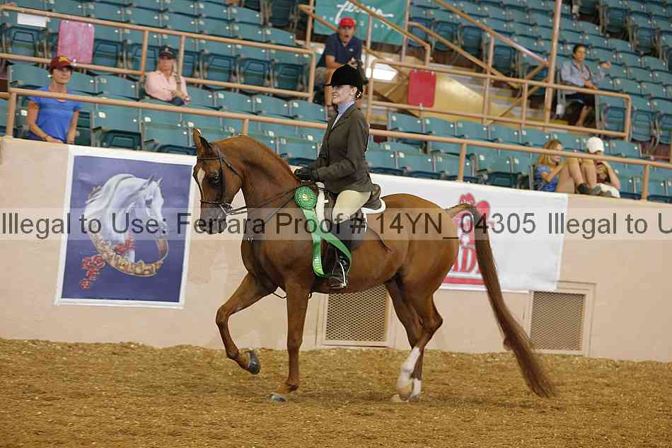 Proof 14yn_04305