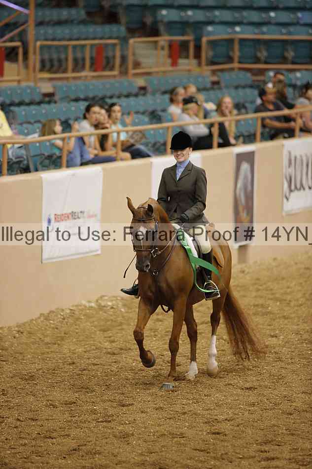 Proof 14yn_04306