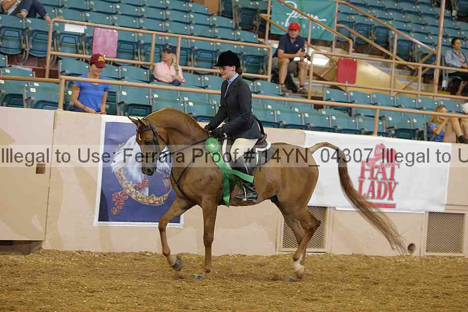 Proof 14yn_04307