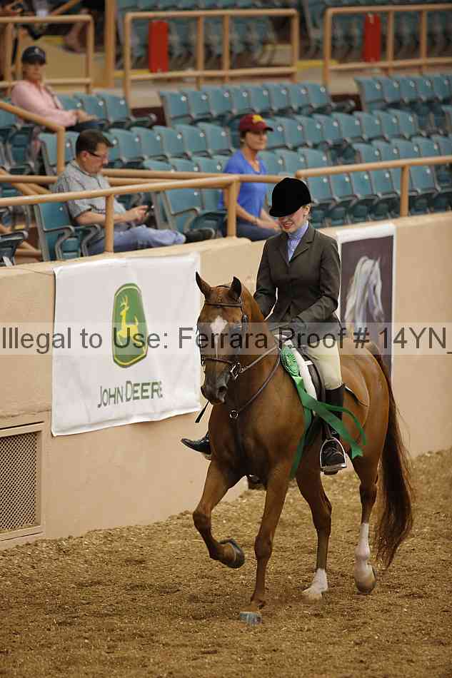 Proof 14yn_04308
