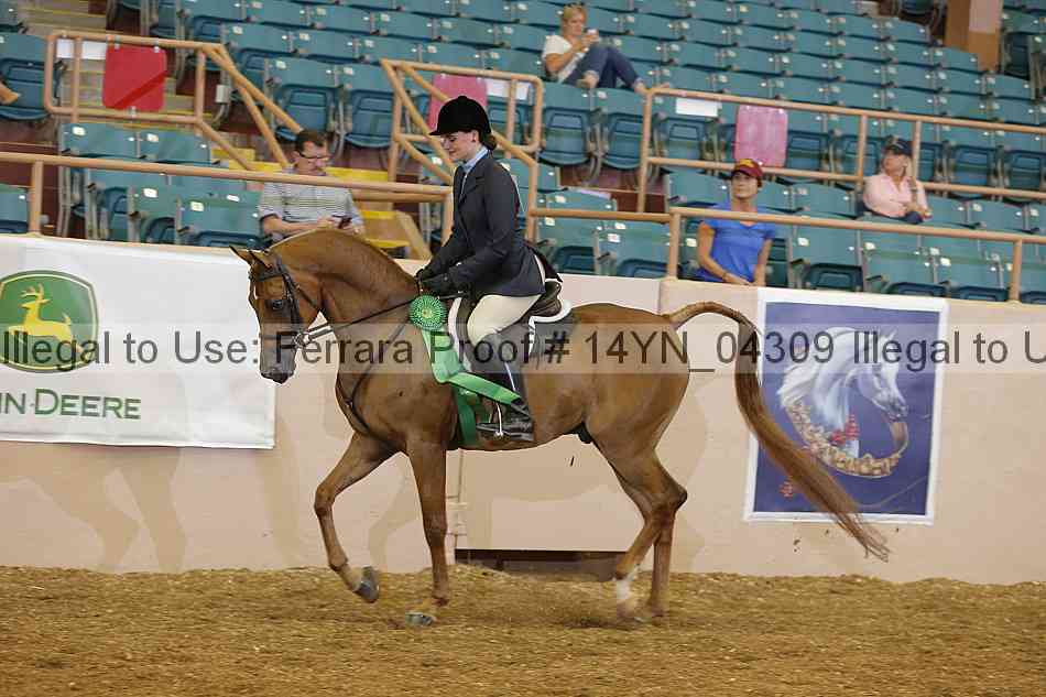 Proof 14yn_04309