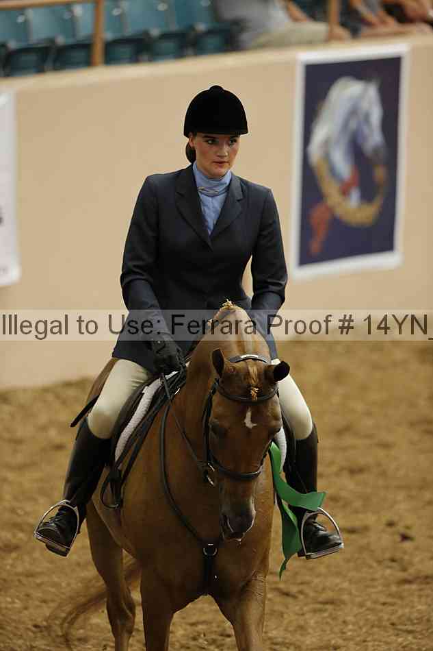 Proof 14yn_04311