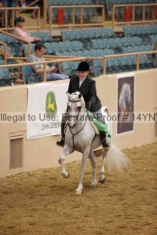 Proof 14yn_04314