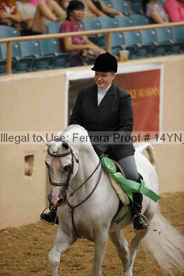Proof 14yn_04316
