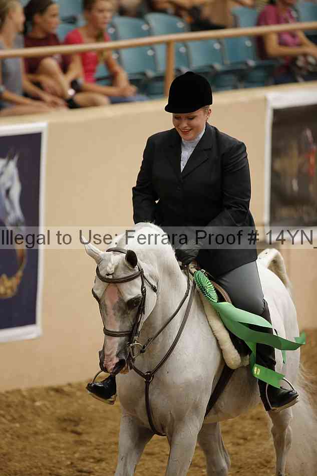Proof 14yn_04317