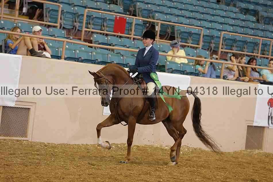 Proof 14yn_04318