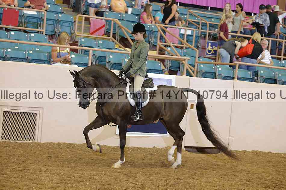 Proof 14yn_10794