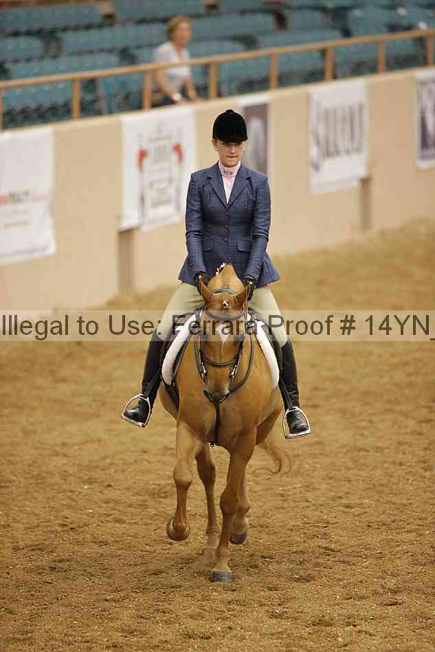 Proof 14yn_10804