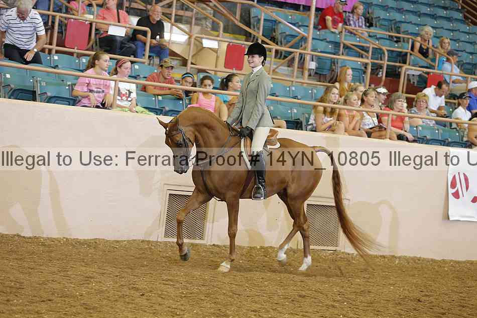 Proof 14yn_10805