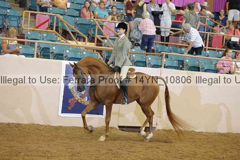 Proof 14yn_10806