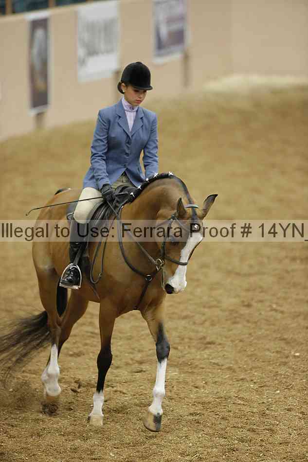 Proof 14yn_10807