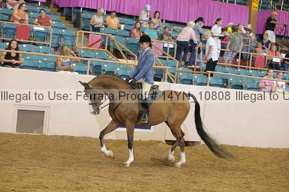 Proof 14yn_10808