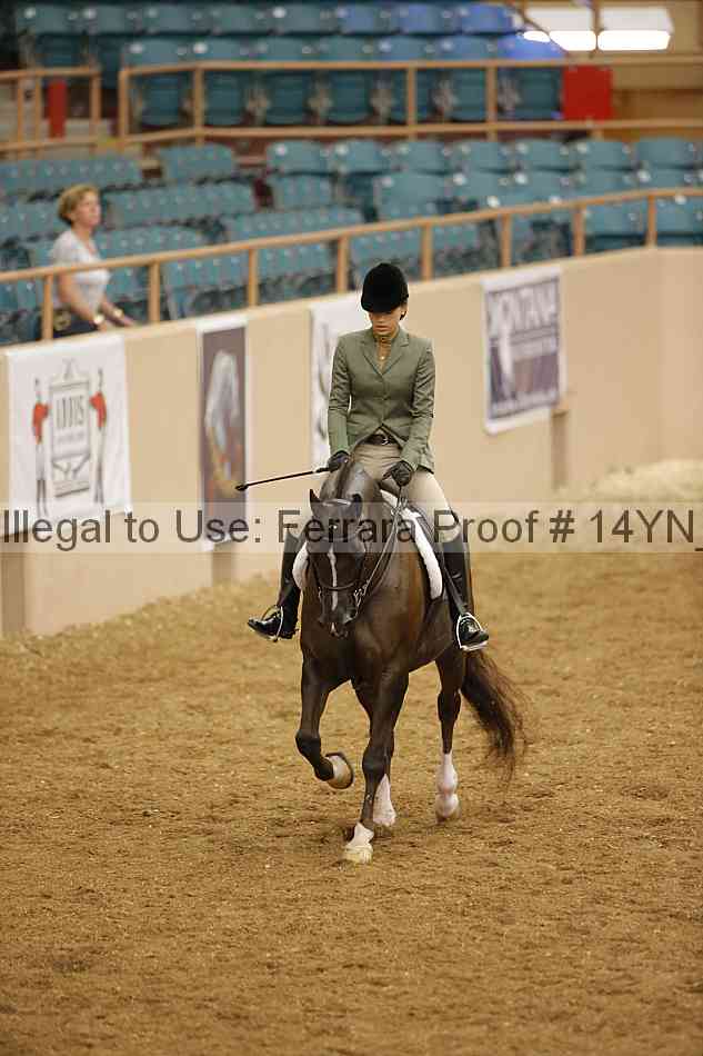 Proof 14yn_10809