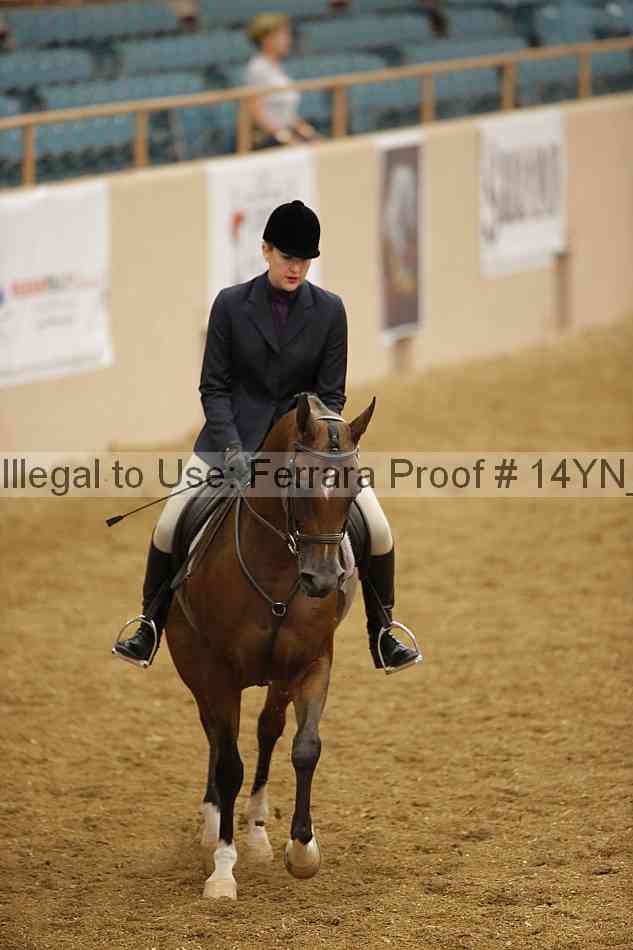 Proof 14yn_10814