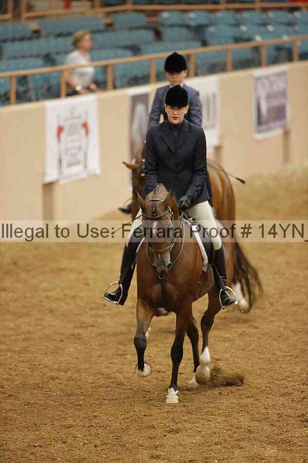 Proof 14yn_10835