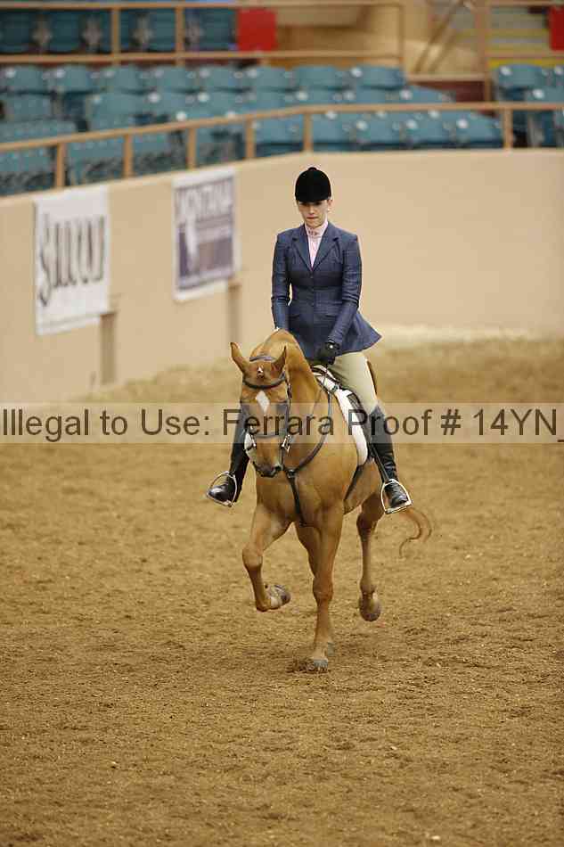 Proof 14yn_10836