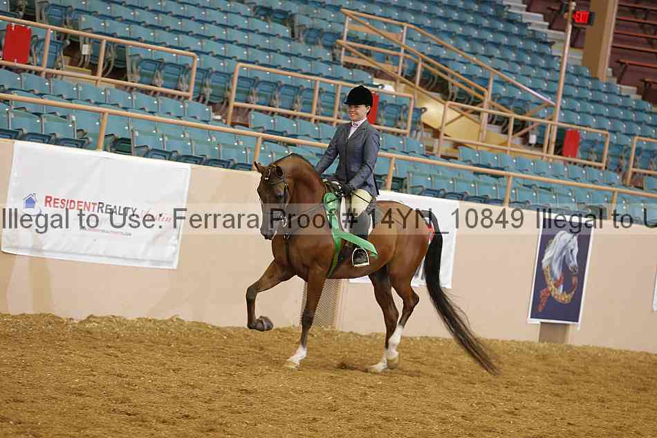 Proof 14yn_10849