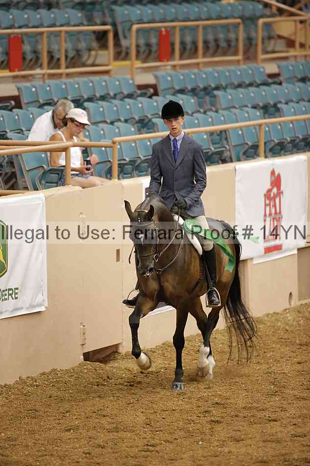 Proof 14yn_10859