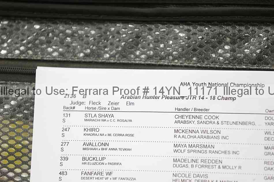 Proof 14yn_11171
