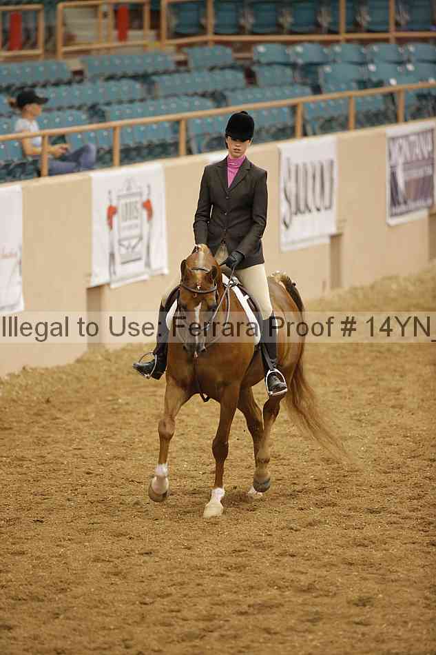 Proof 14yn_11184