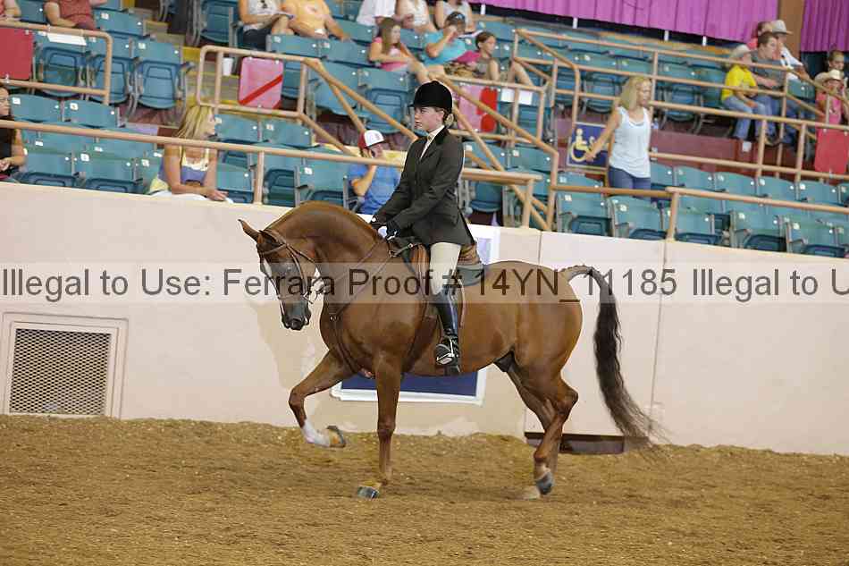 Proof 14yn_11185