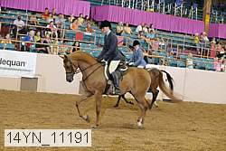 14yn_11191 proof