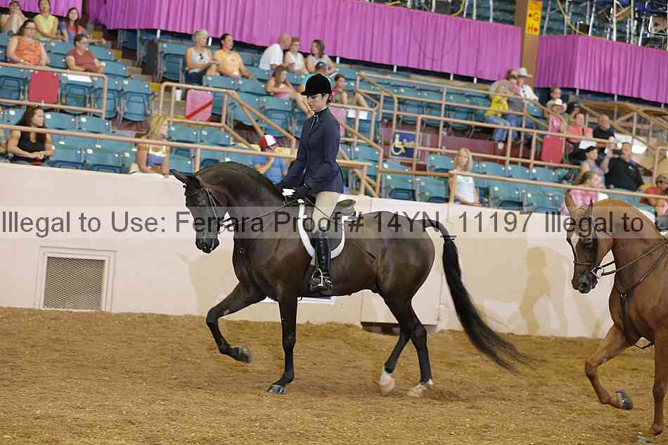 Proof 14yn_11197