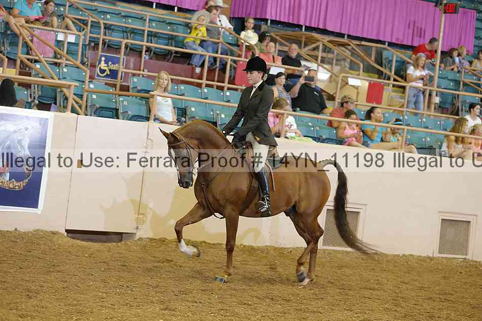 Proof 14yn_11198