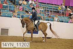 14yn_11202 proof