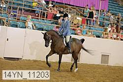 14yn_11203 proof