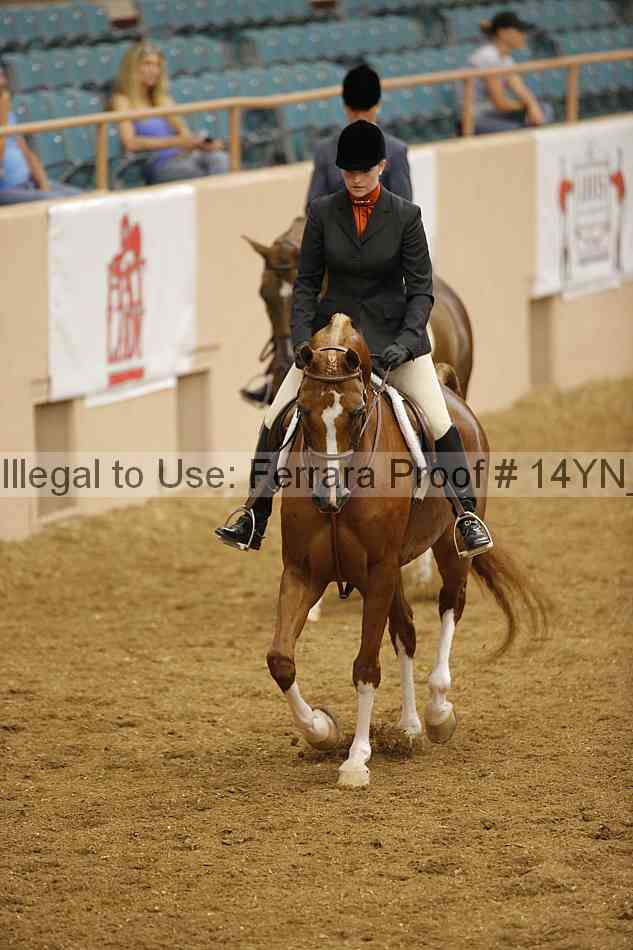 Proof 14yn_11205
