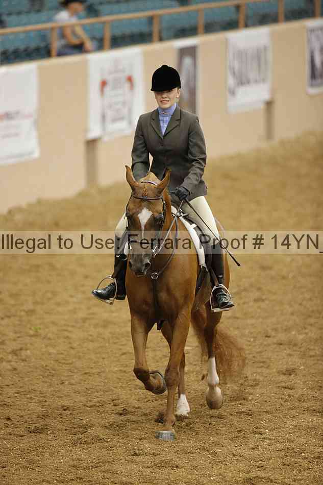 Proof 14yn_11206