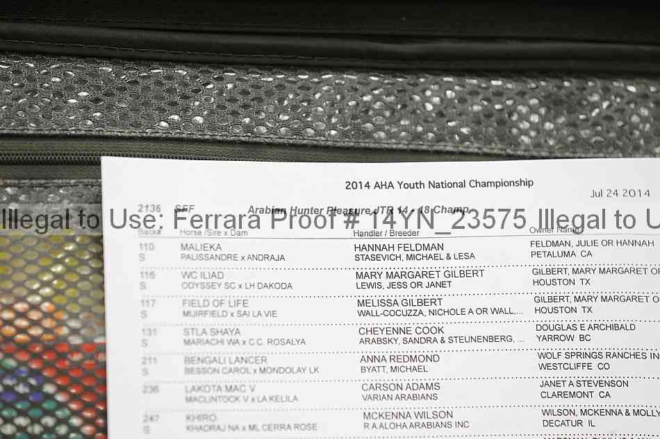Proof 14yn_23575