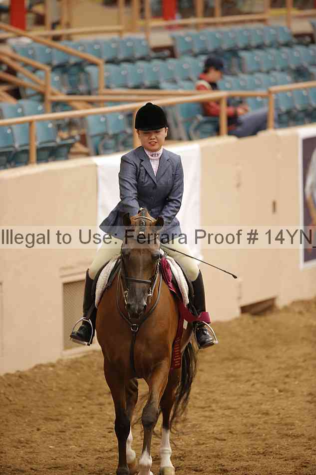 Proof 14yn_23703