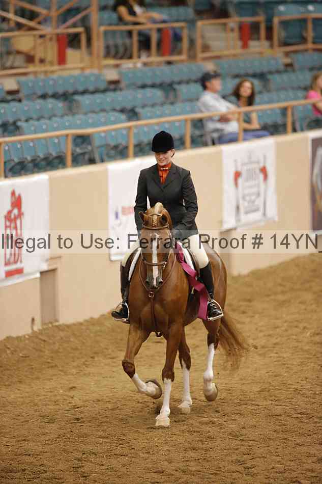 Proof 14yn_23707
