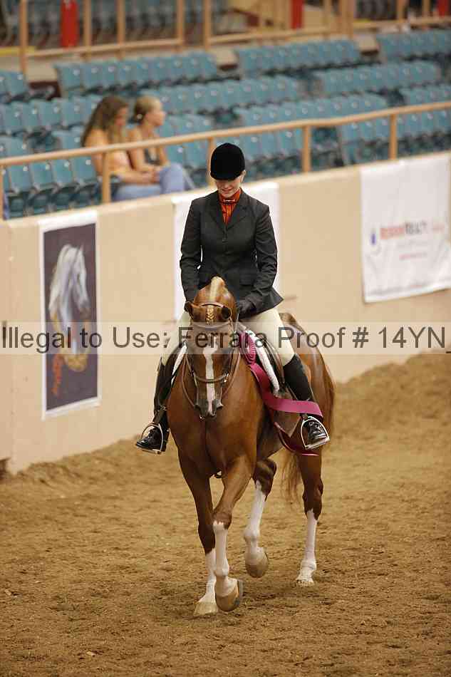 Proof 14yn_23708
