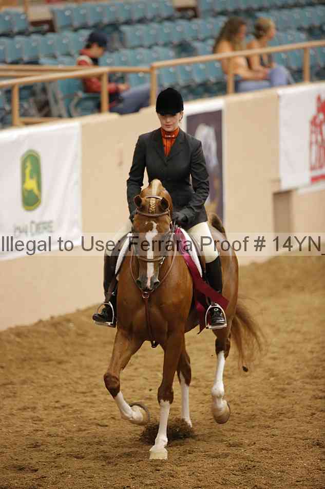 Proof 14yn_23709