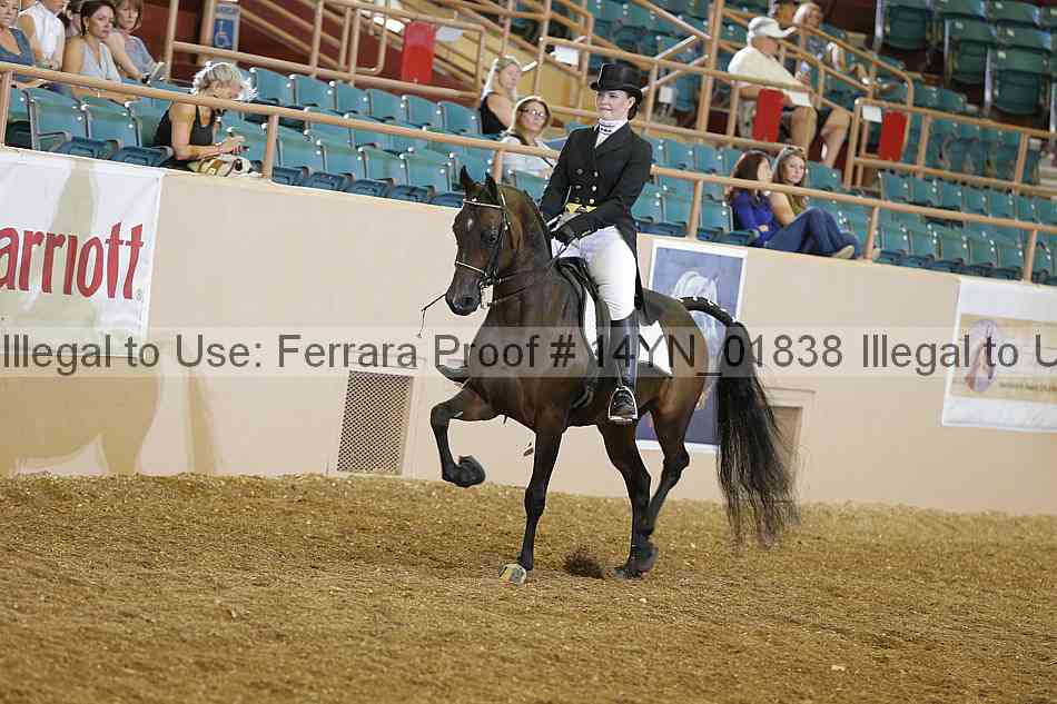 Proof 14yn_01838