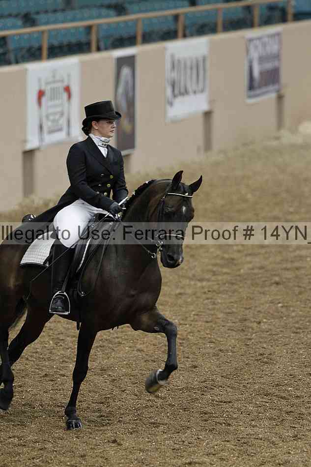 Proof 14yn_01841